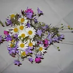Hausbergerhof Gaestehaus Ainberger 招待所 布里克斯莱格