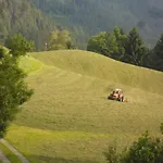 Hausbergerhof Gaestehaus Ainberger 招待所 布里克斯莱格
