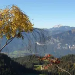 招待所 Hausbergerhof Gaestehaus Ainberger 布里克斯莱格