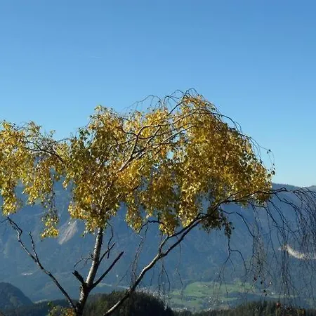 Hausbergerhof Gaestehaus Ainberger Guest house