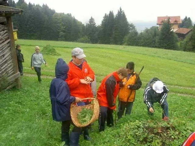 Hausbergerhof Gaestehaus Ainberger Брикслегг