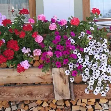 Hausbergerhof Gaestehaus Ainberger 게스트하우스 브릭스레크