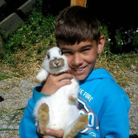 게스트하우스 Hausbergerhof Gaestehaus Ainberger *