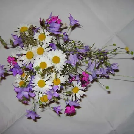 Hausbergerhof Gaestehaus Ainberger 게스트하우스 브릭스레크