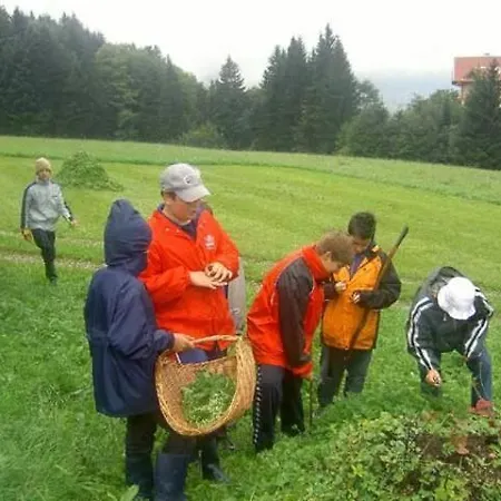 Hausbergerhof Gaestehaus Ainberger 브릭스레크